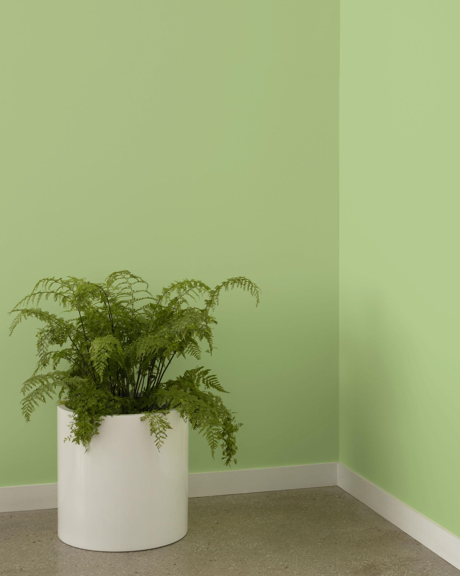 Woodland Hills Green 543 — Ver la foto