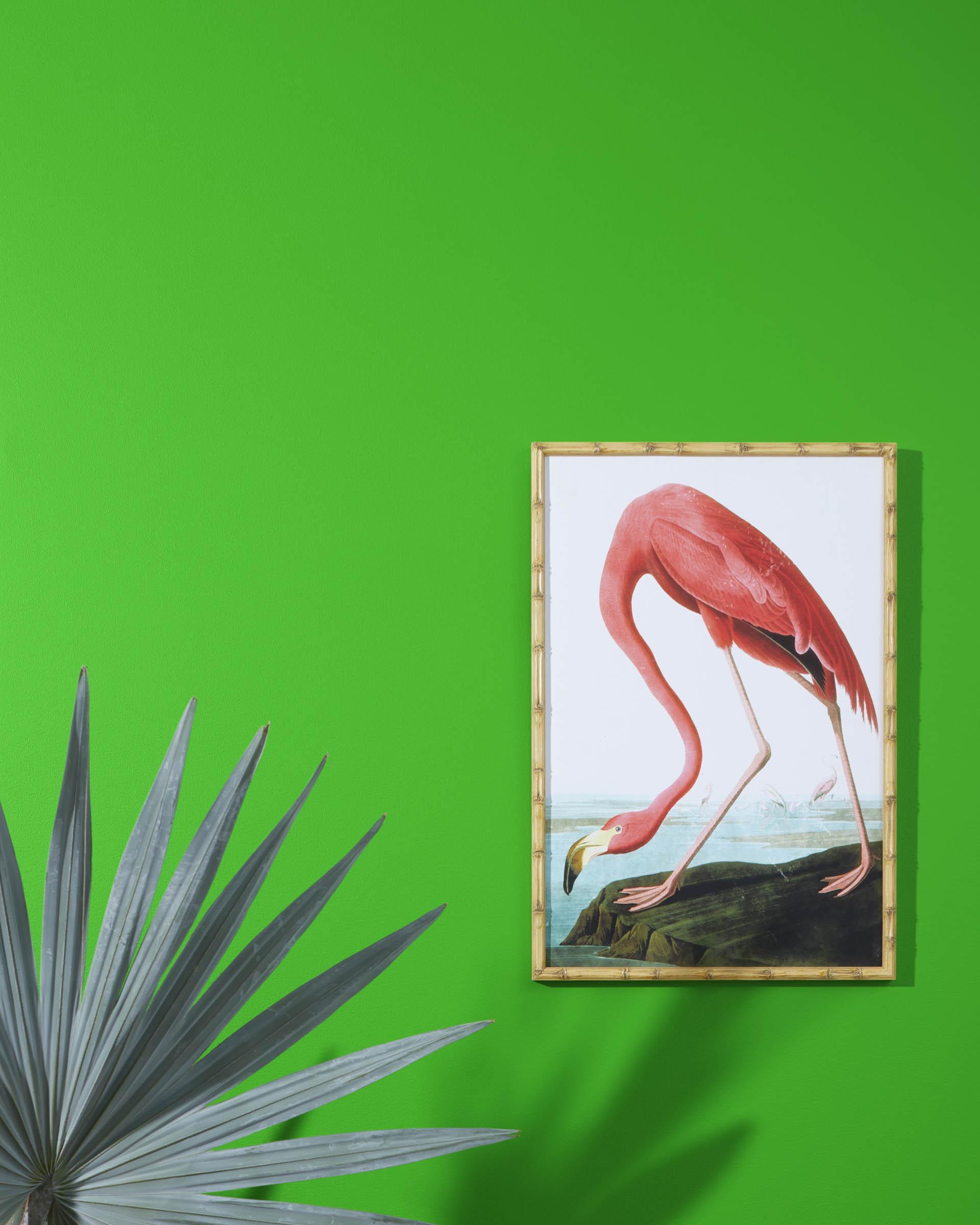 Tropical Seaweed Green 2030-20 — Ver la foto