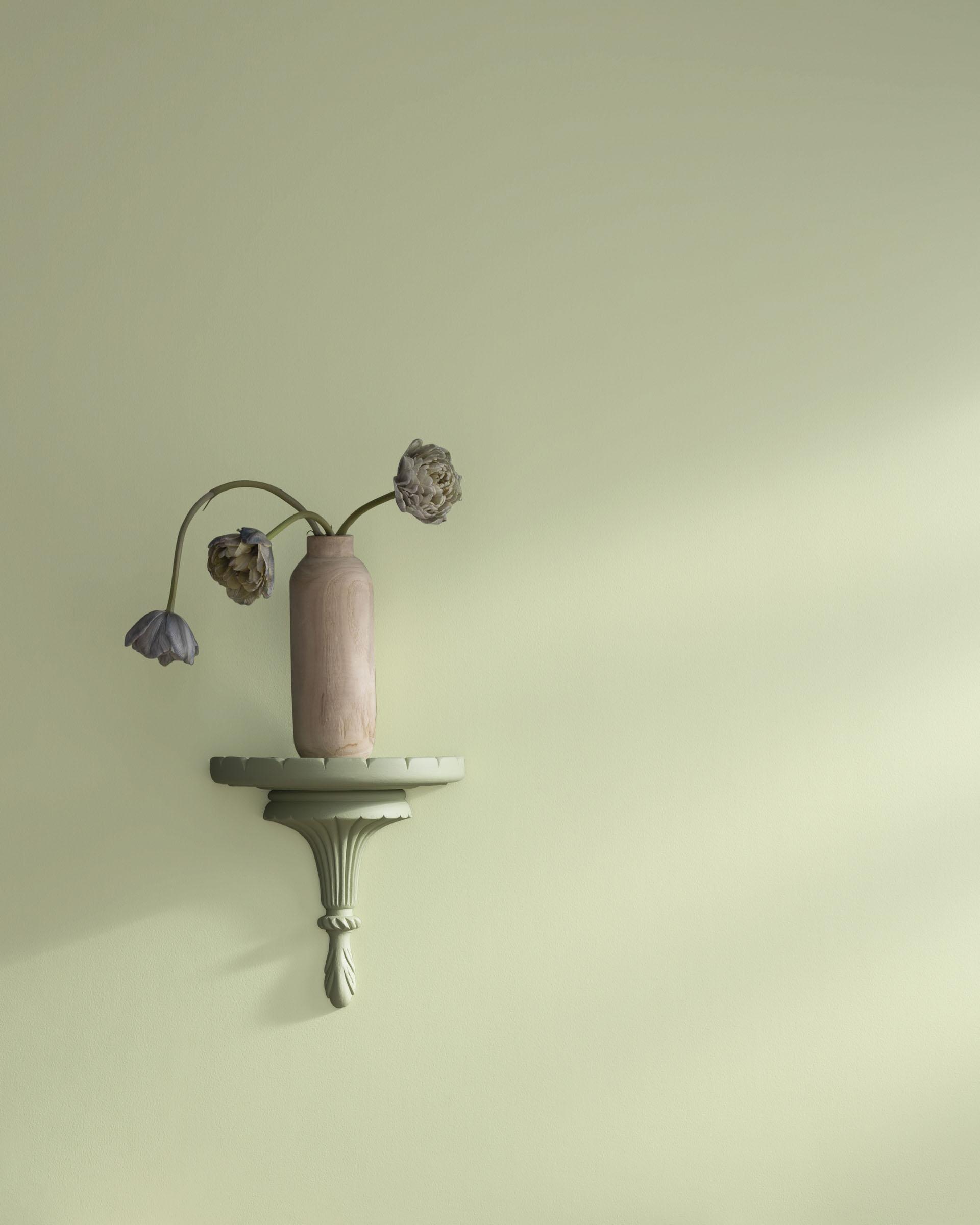 Maidenhair Fern 500 — Ver la foto