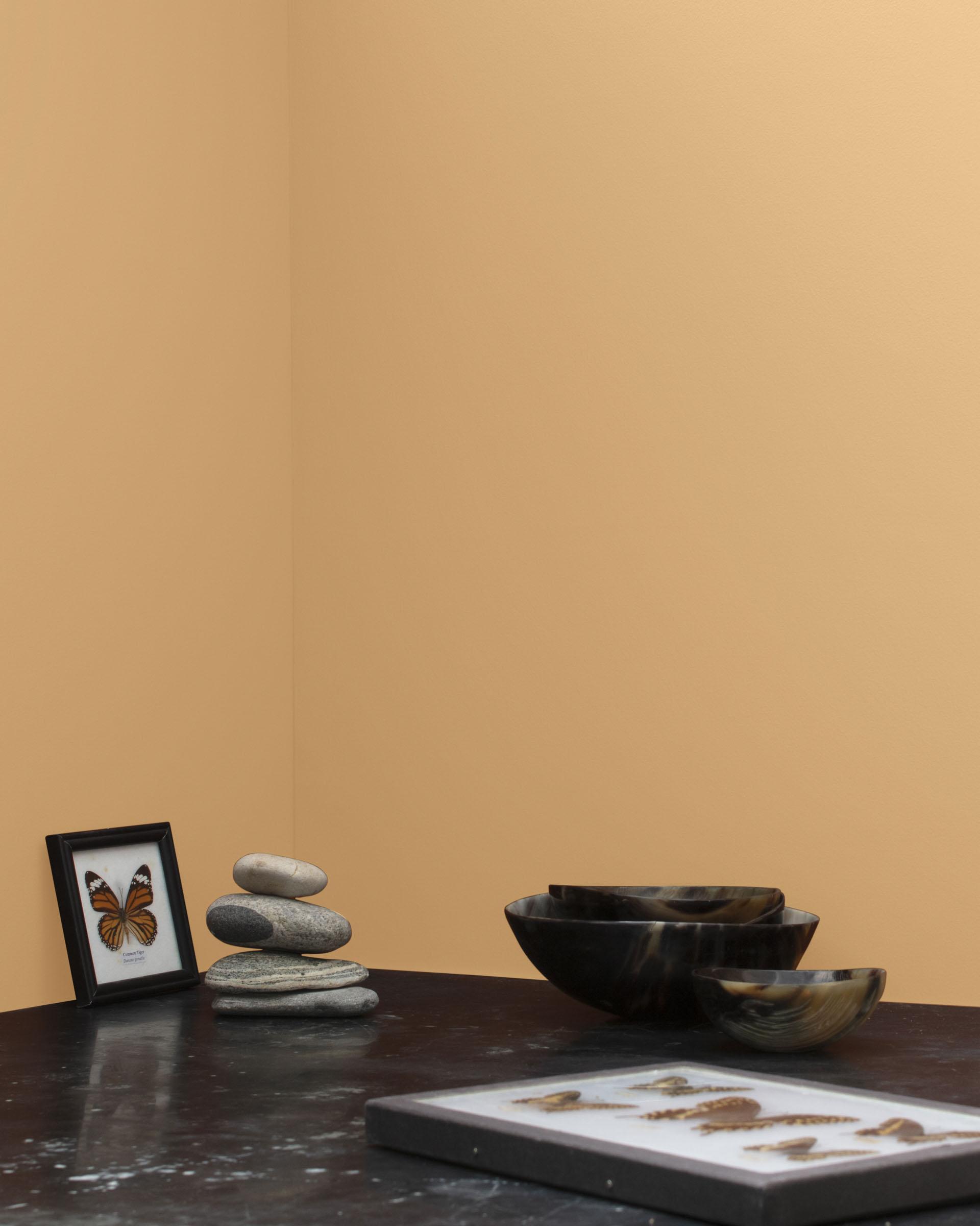 Camel Back 1103 — Ver la foto
