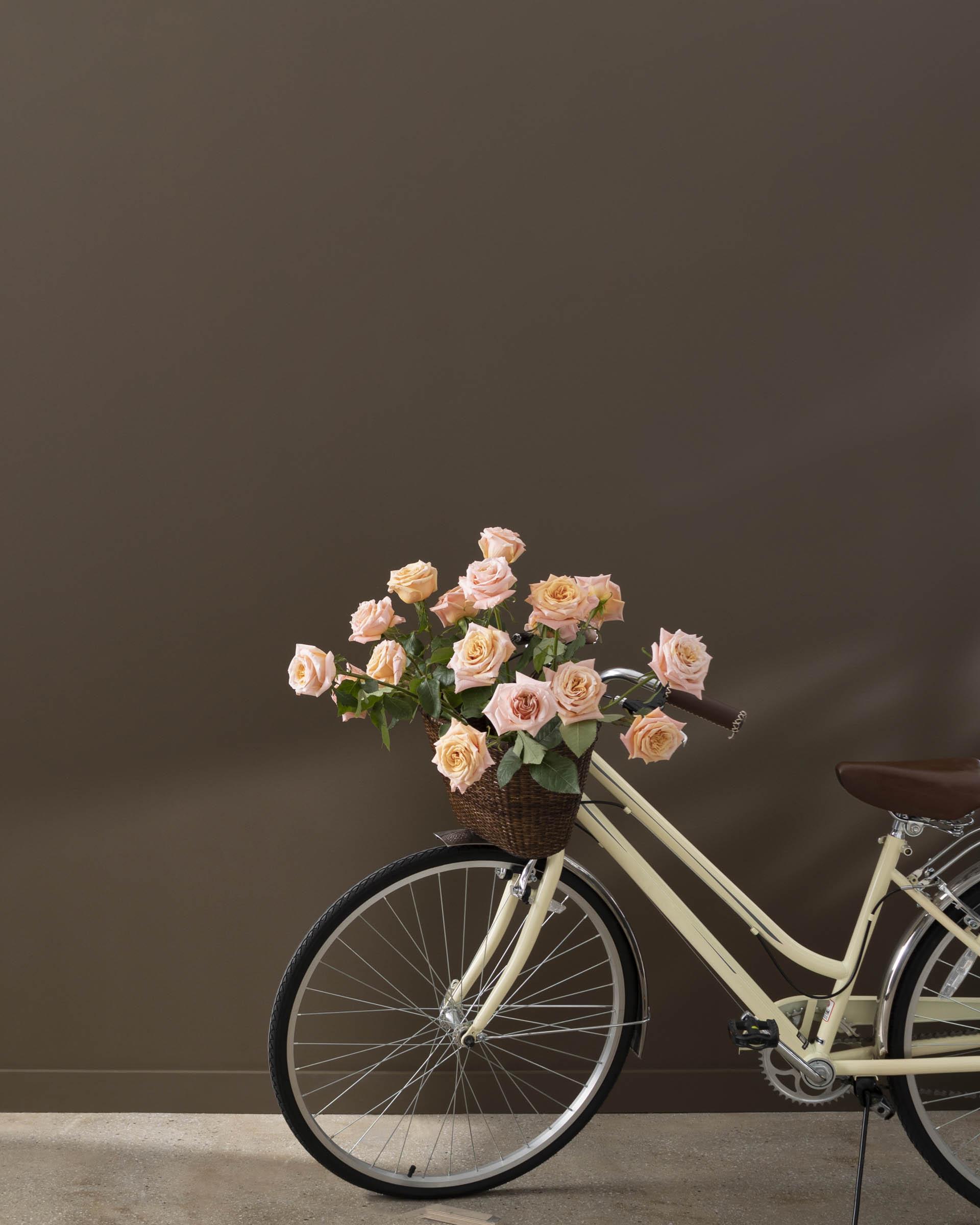 Café Doppio CSP-210 — Ver la foto