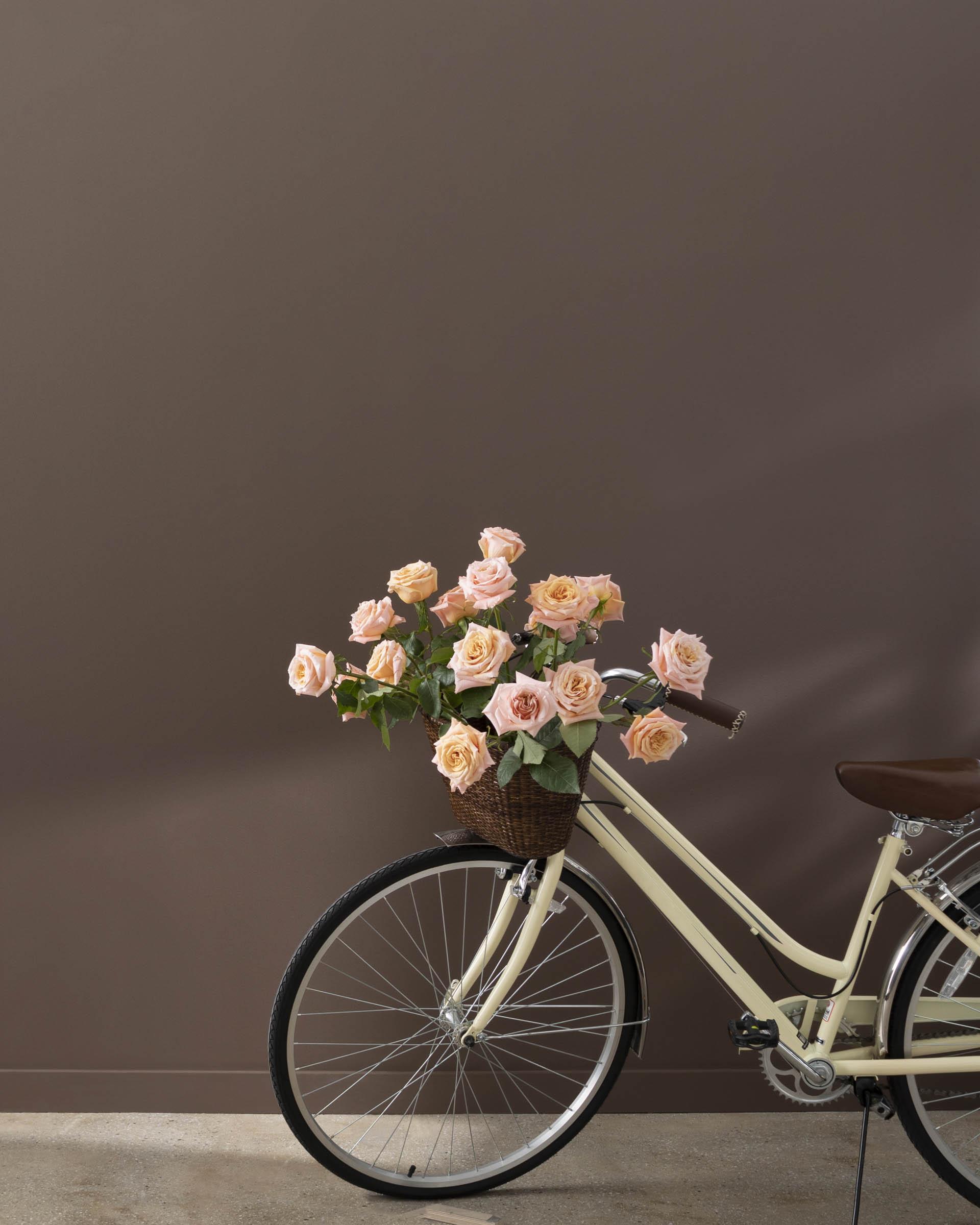 Van Buren Brown HC-70 — Ver la foto