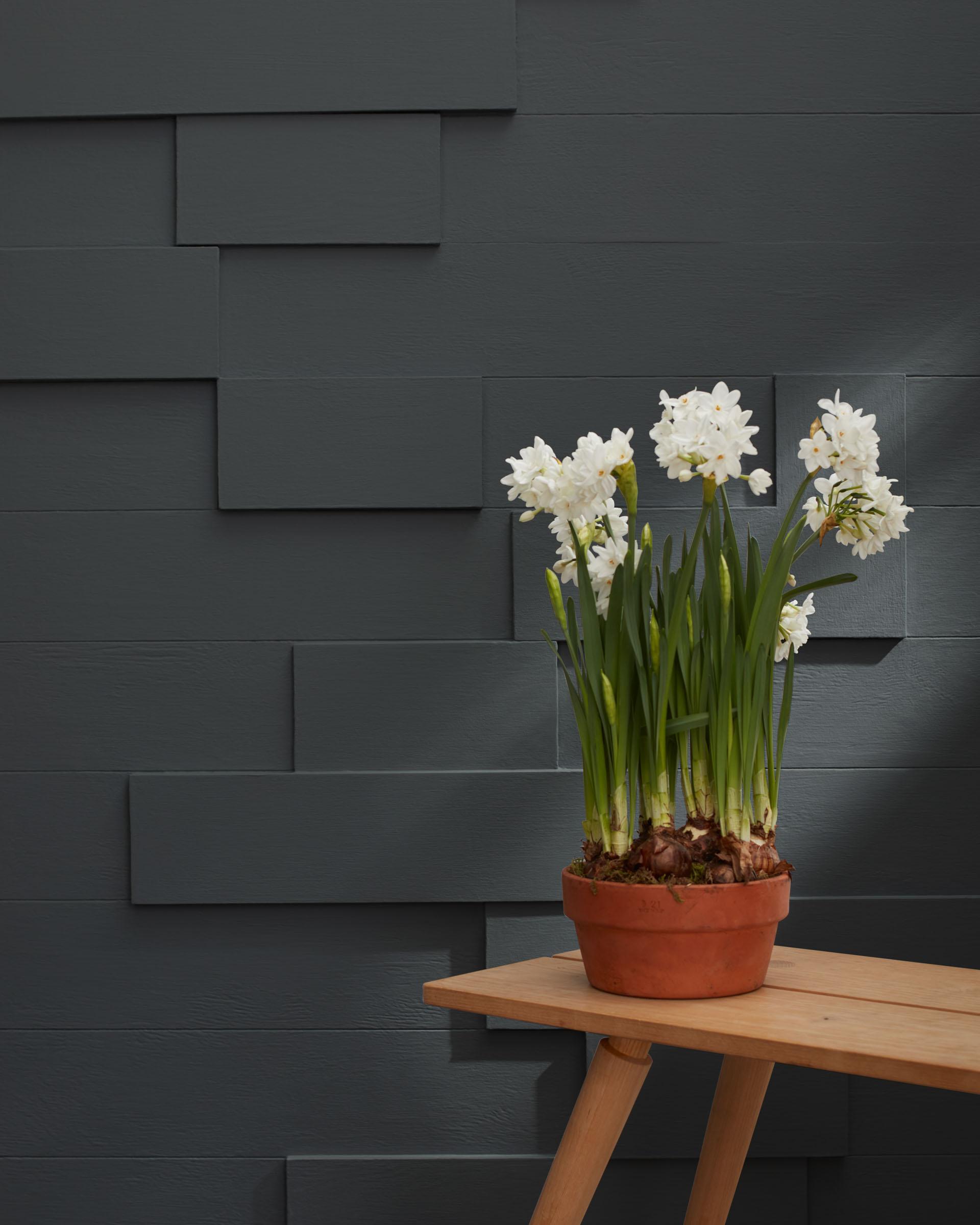 Graphite 1603 — Ver la foto