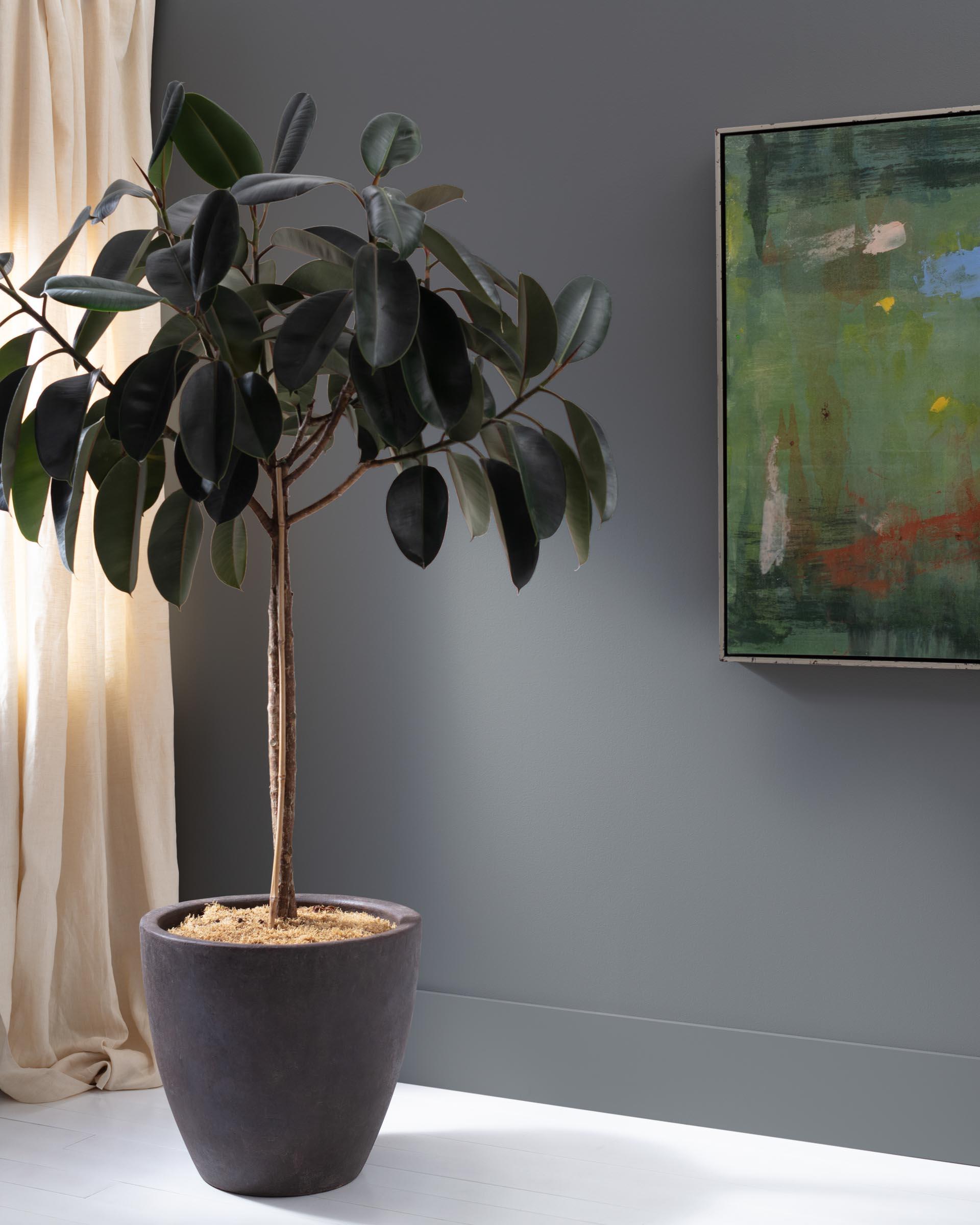 Charcoal Linen 2133-40 — Ver la foto
