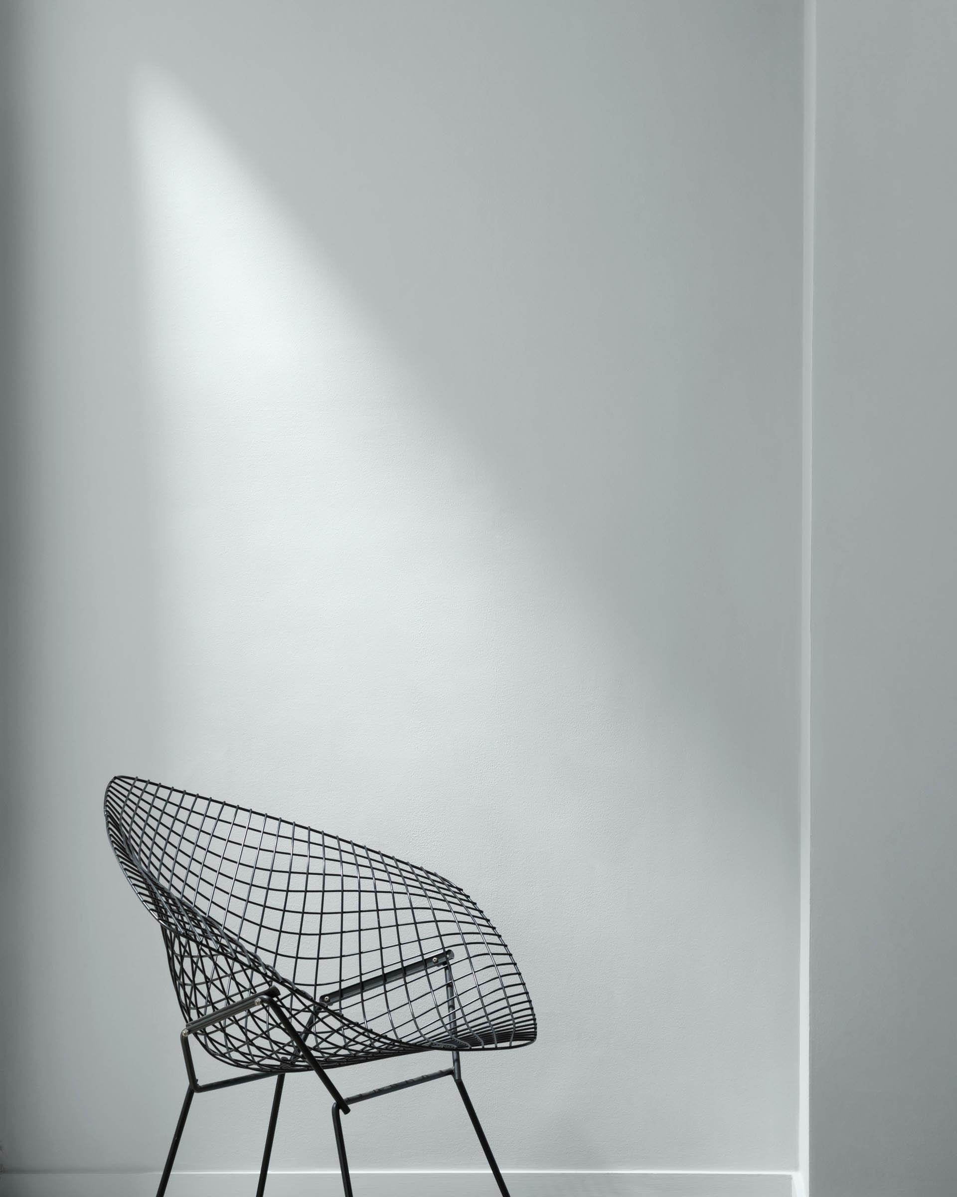 Bunny Gray 2124-50 — Ver la foto