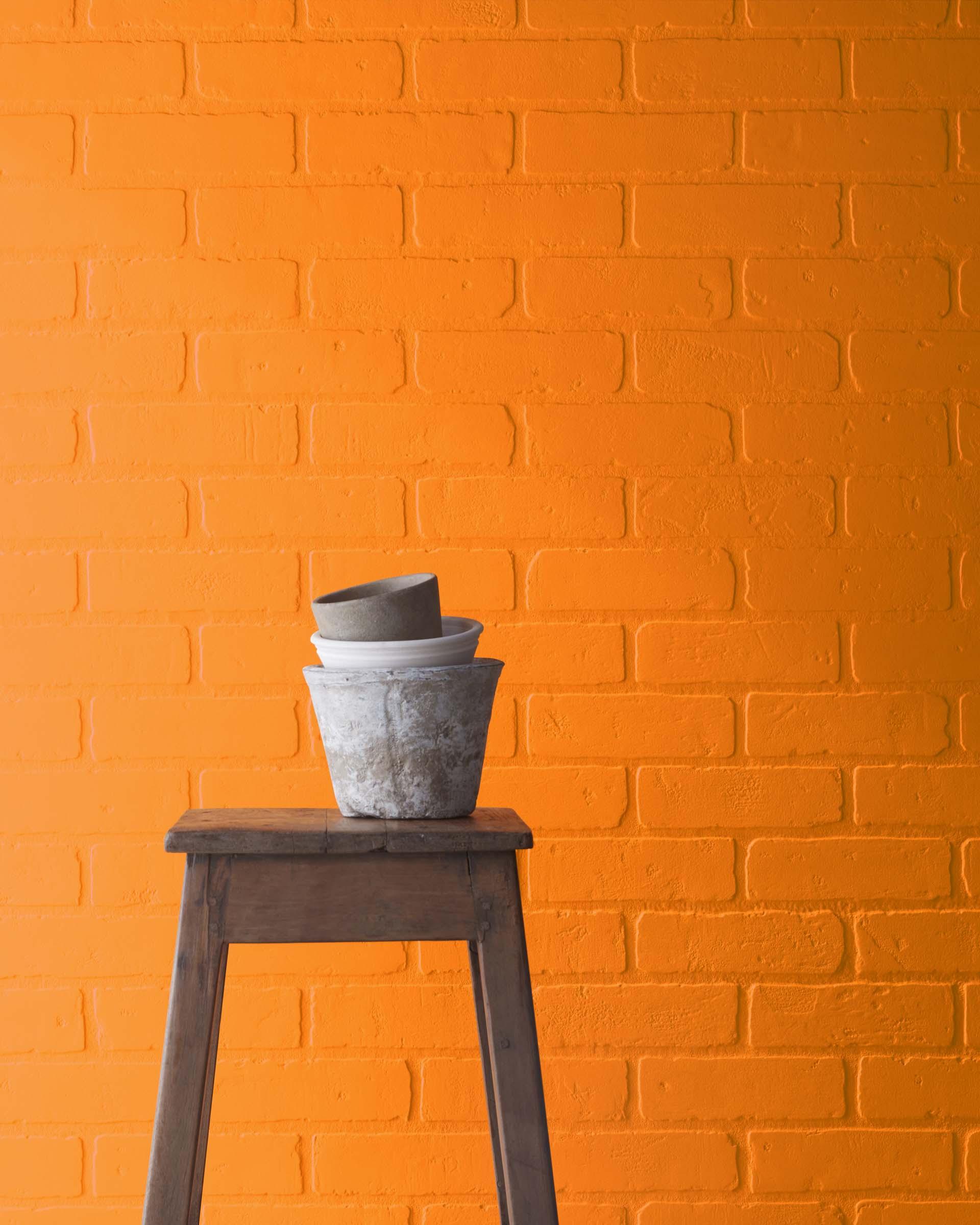 Startling Orange 2016-10 — Ver la foto