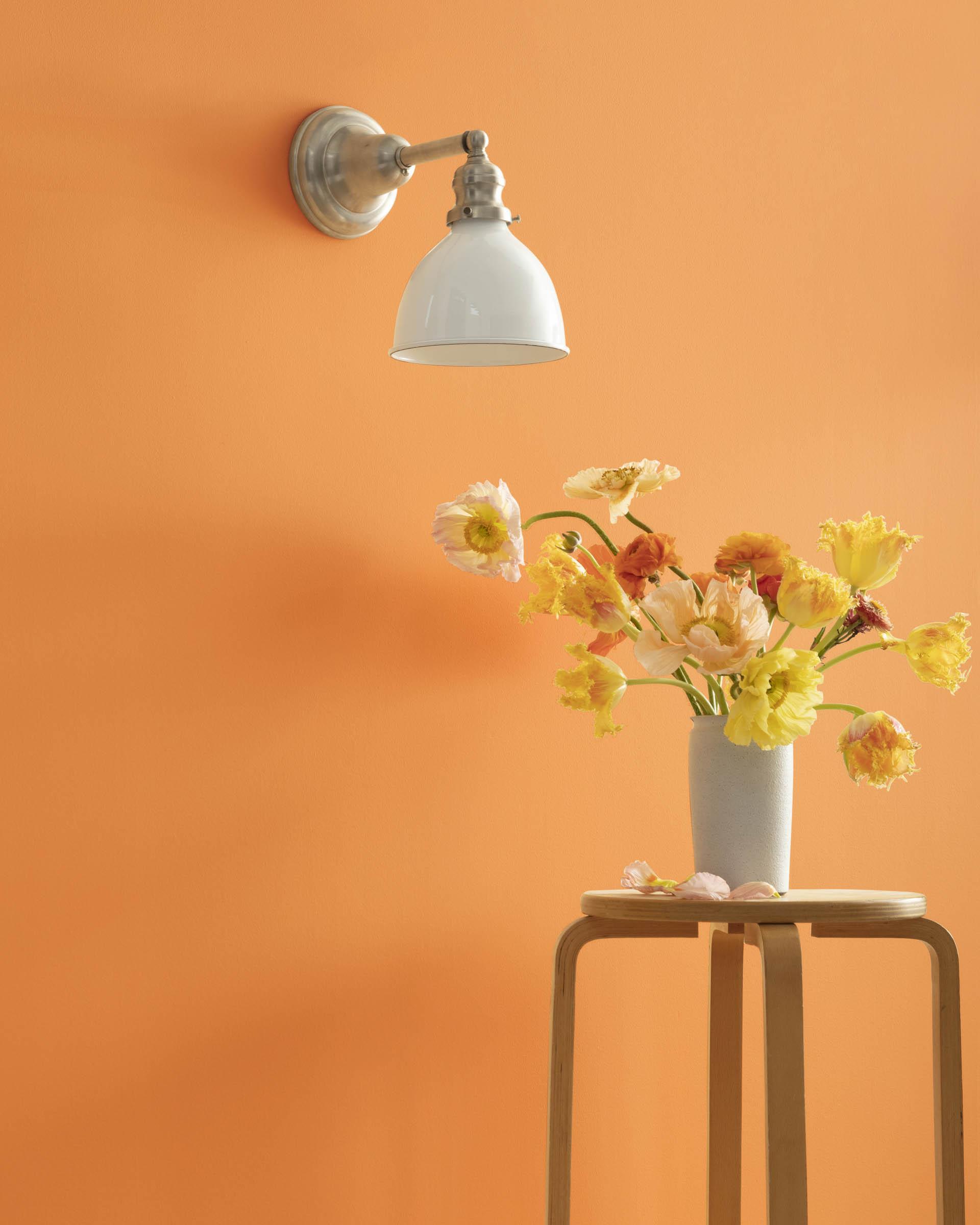 Orange Appeal 124 — Ver la foto
