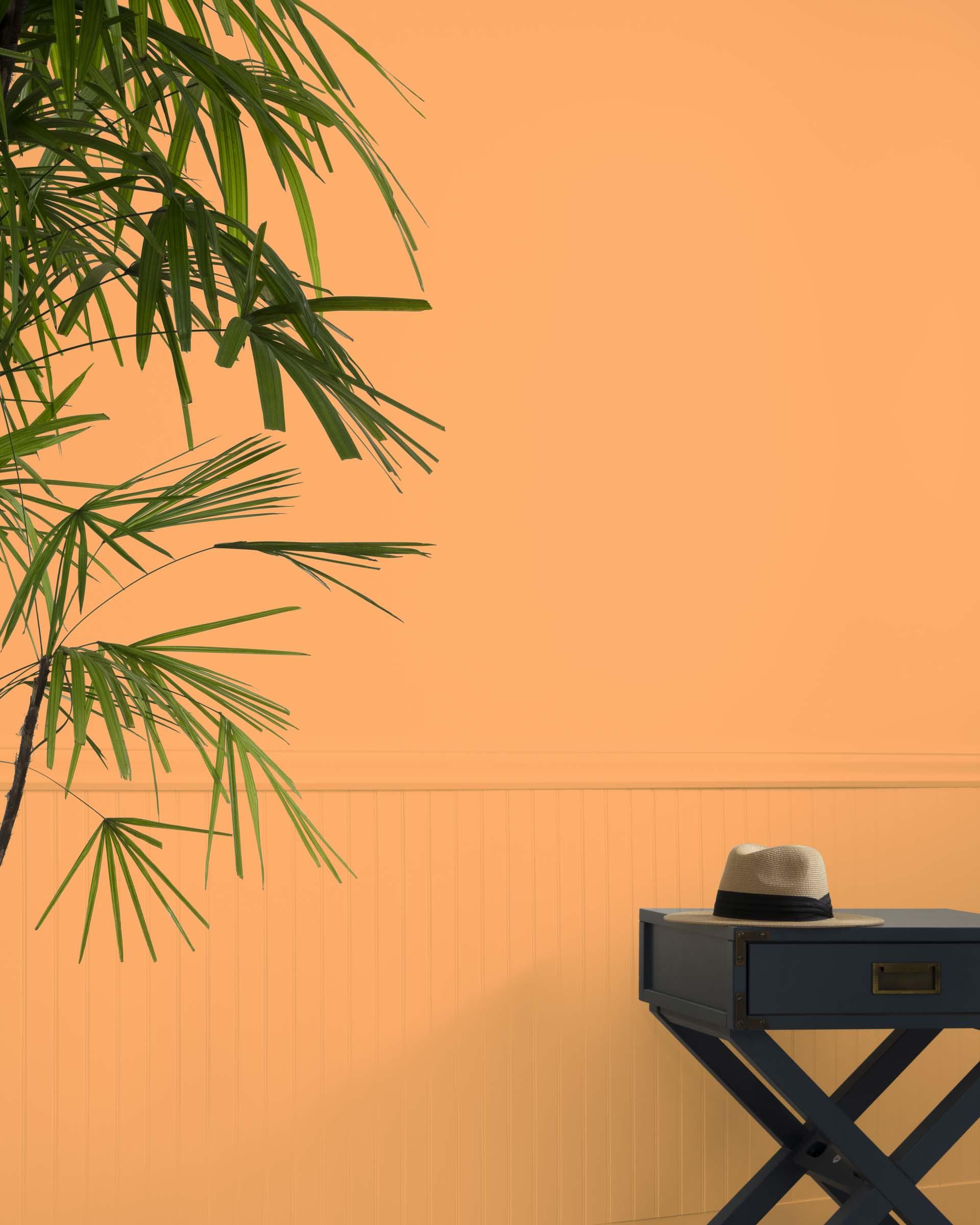 Tangerine Zing 132 — Ver la foto