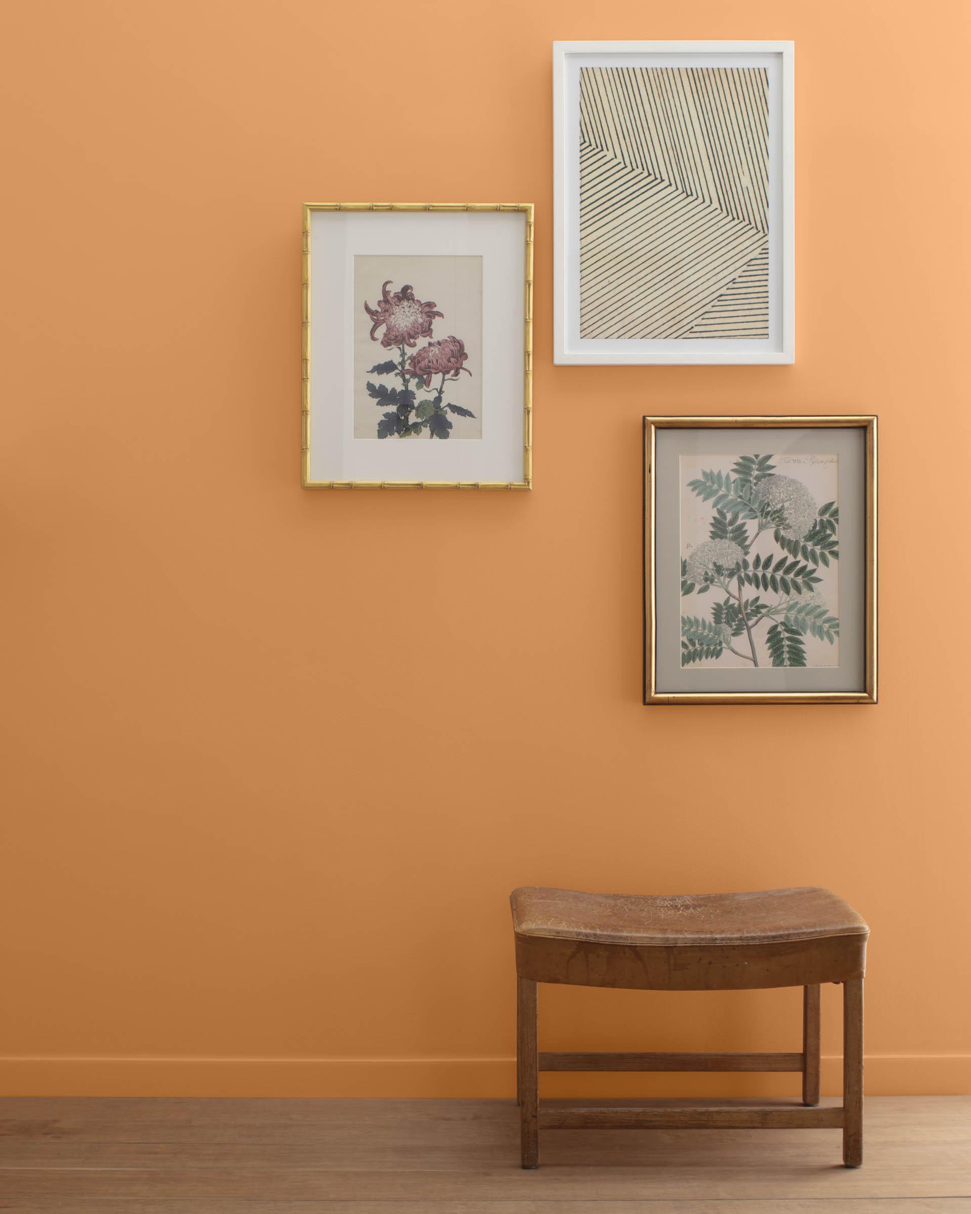 Soft Pumpkin 2166-40 — Ver la foto