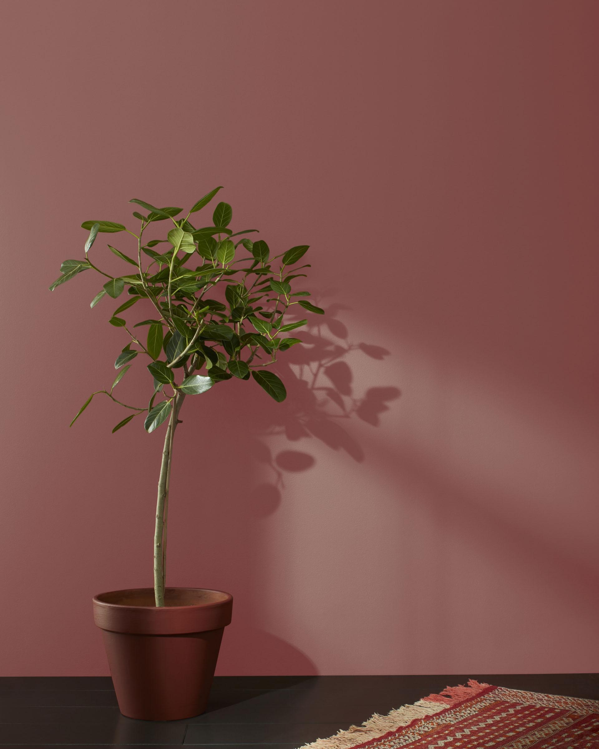 Laurentian Red CC-152 — Ver la foto