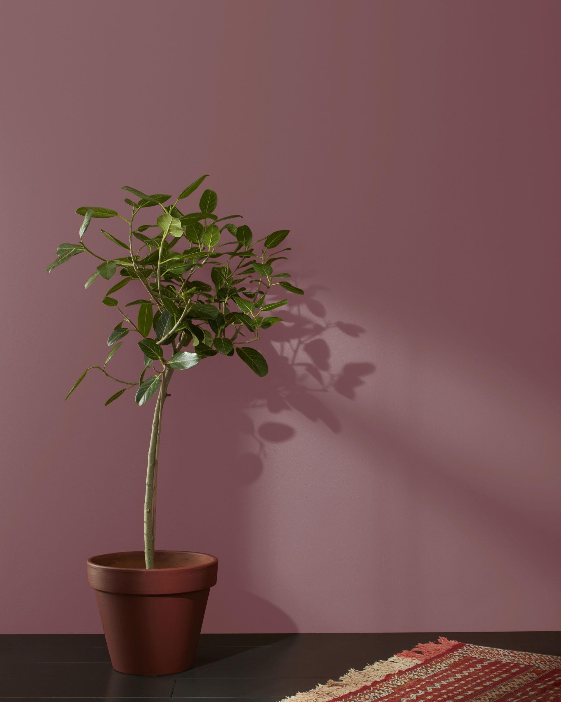 New London Burgundy HC-61 — Ver la foto