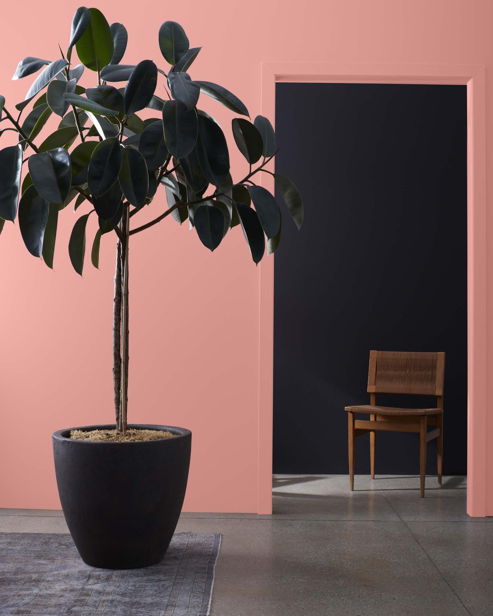 Tender Pink 2090-50 — Ver la foto