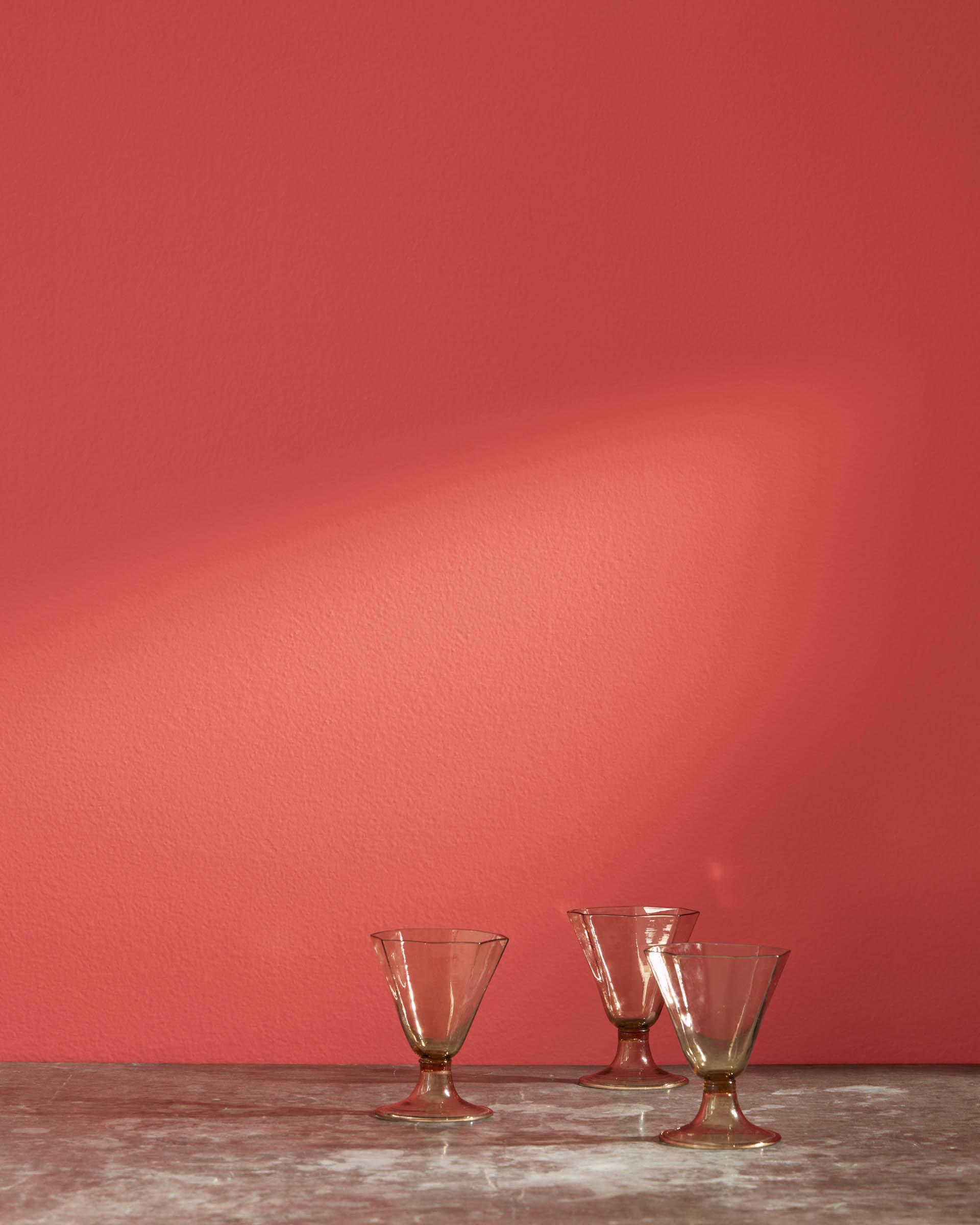 Geranium 1307 — Ver la foto