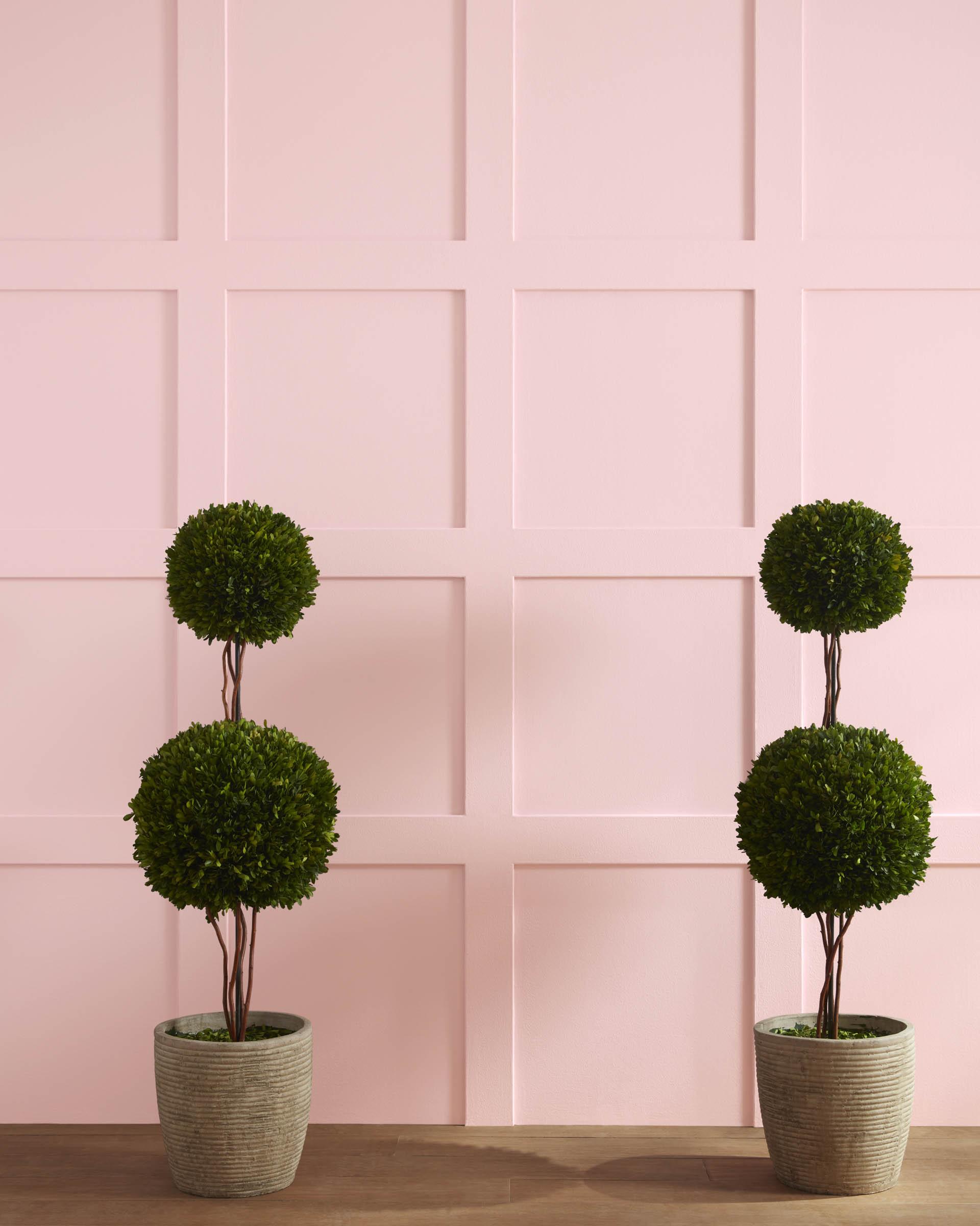 Powder Blush 1338 — Ver la foto