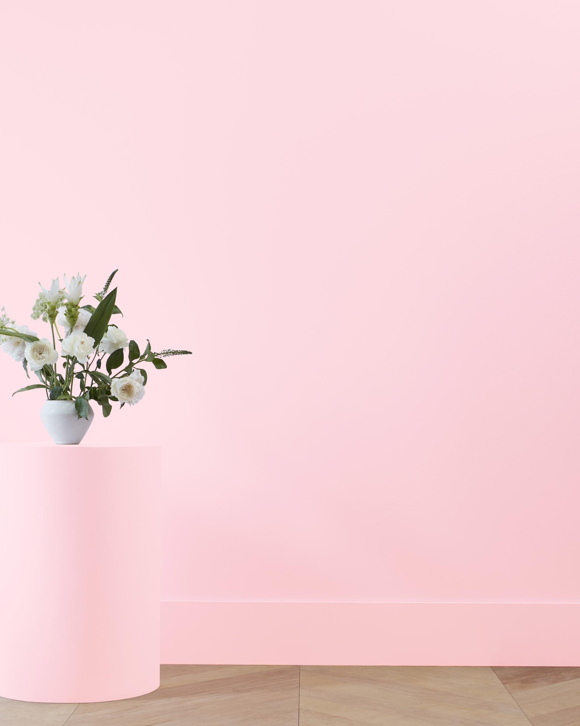 Pink Lace 2081-60 — Ver la foto