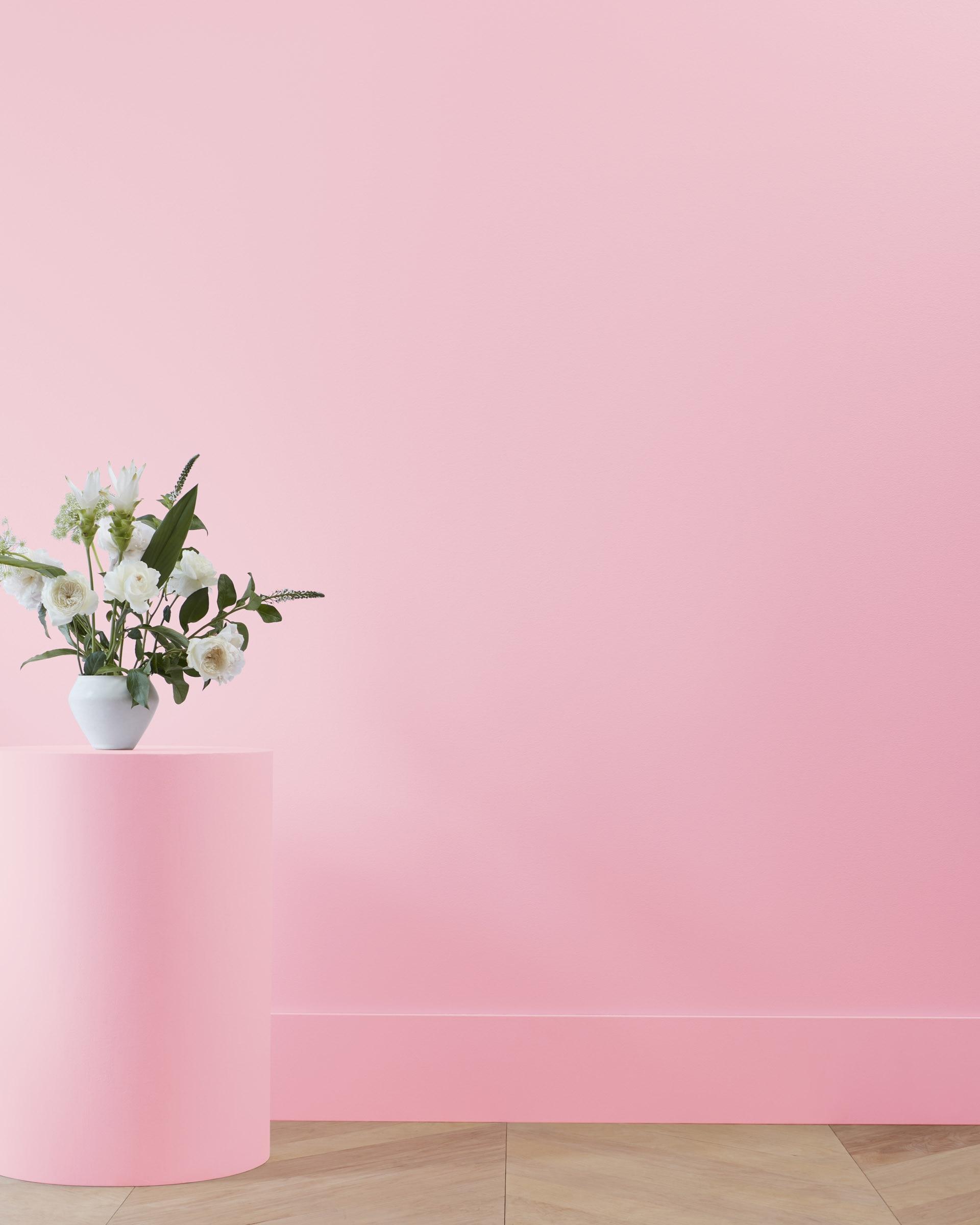 Strawberry Sorbet 2087-50 — Ver la foto
