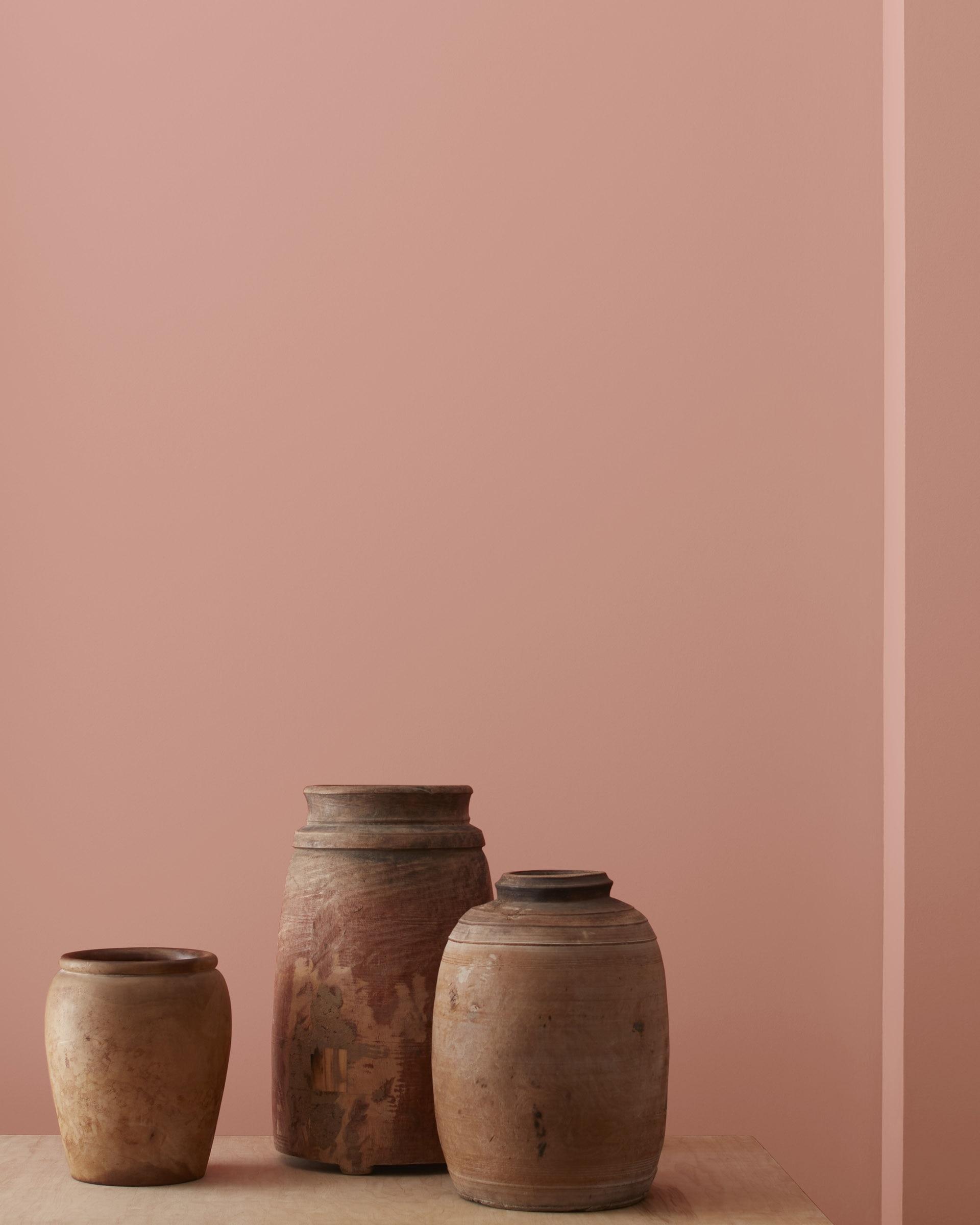 Palmetto Pink 1188 — Ver la foto