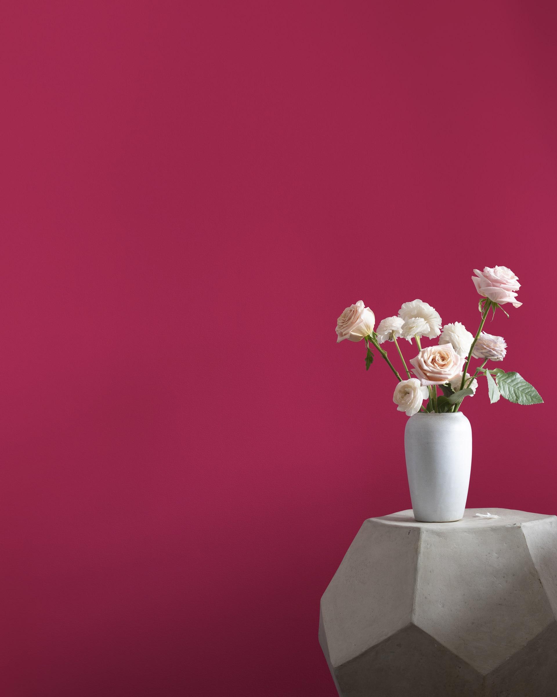Magenta 2077-10 — Ver la foto