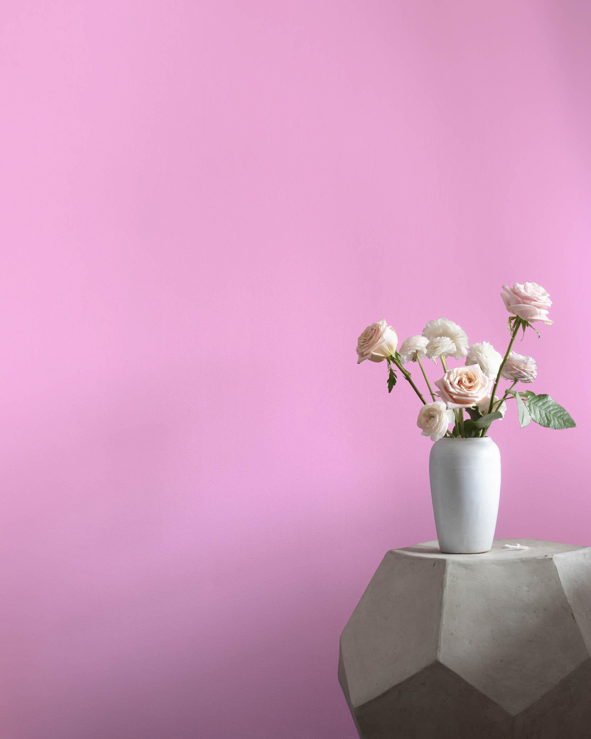 Pretty Pink 2077-50 — Ver la foto