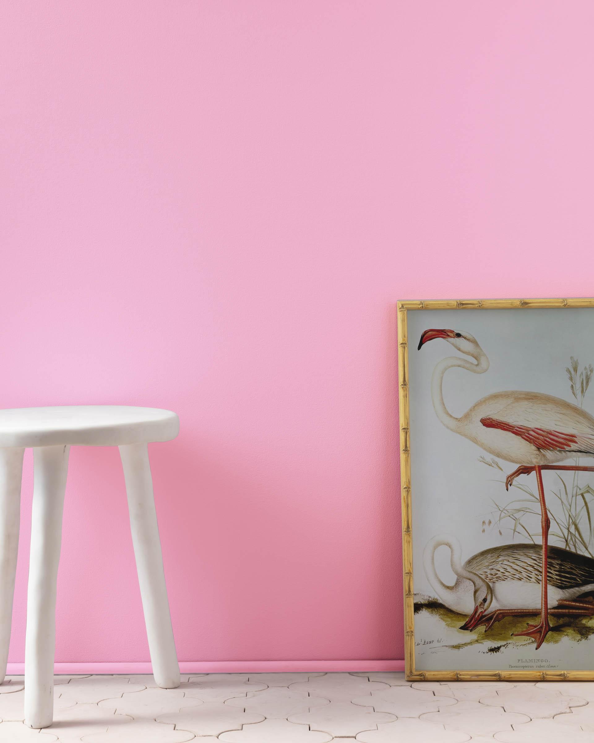 Pink Begonia 2078-50 — Ver la foto