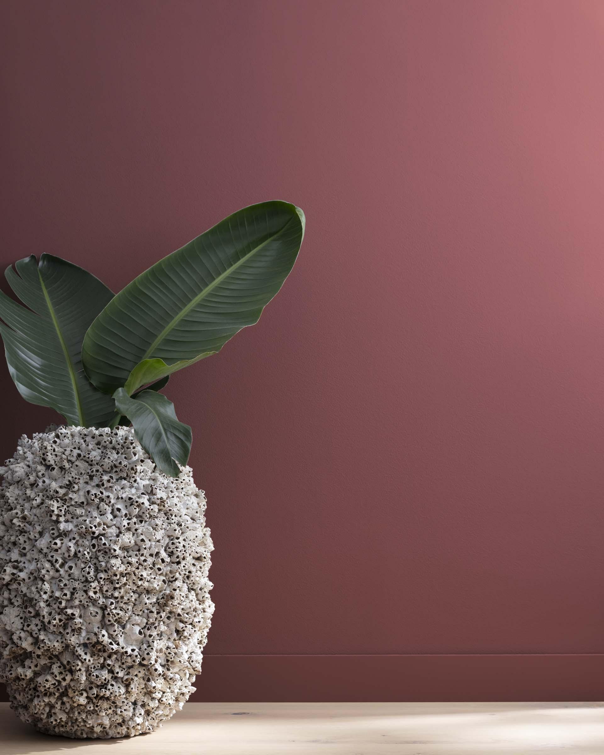 Ruby Dusk 1267 — Ver la foto