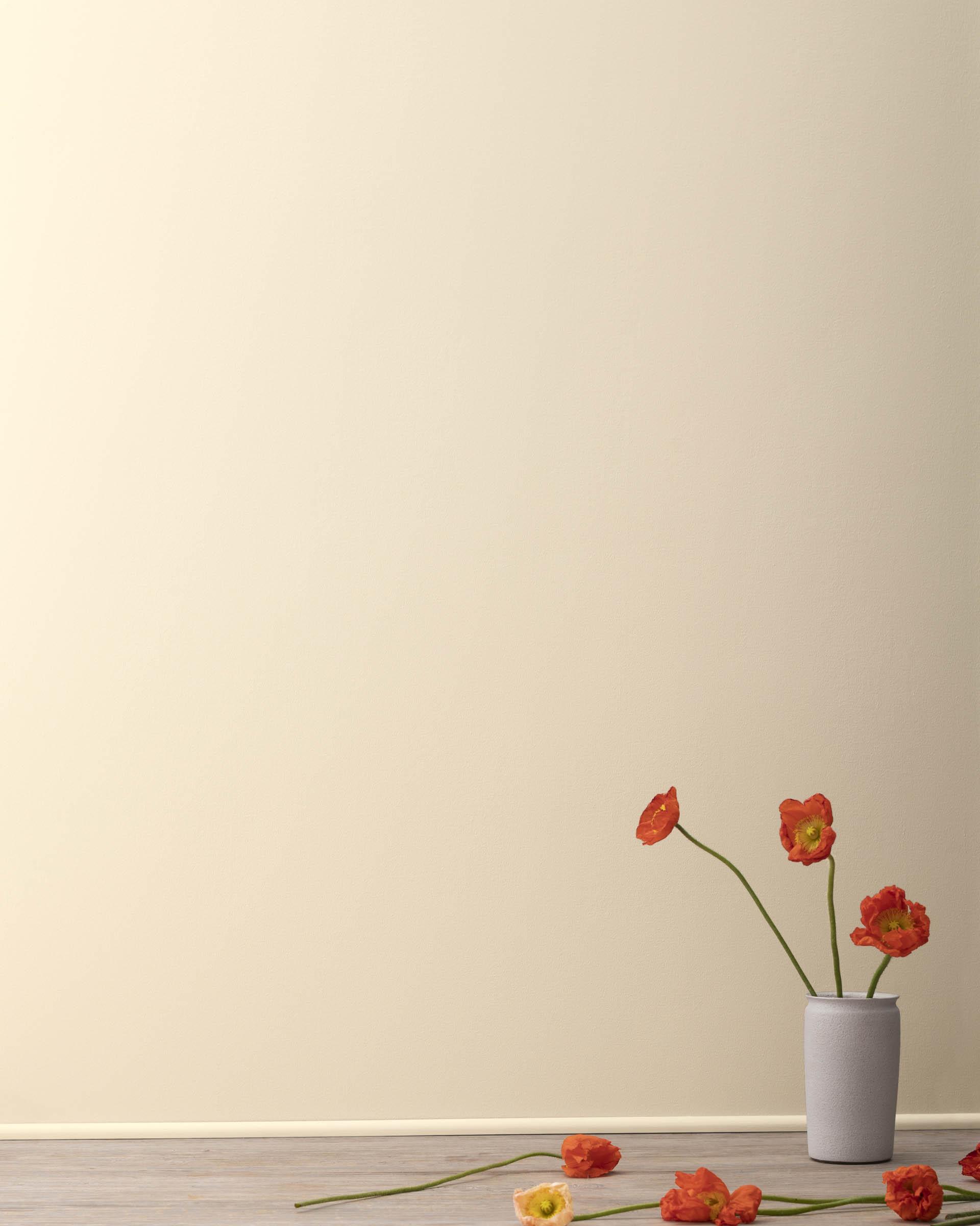 Barely Beige CC-140 — Ver la foto