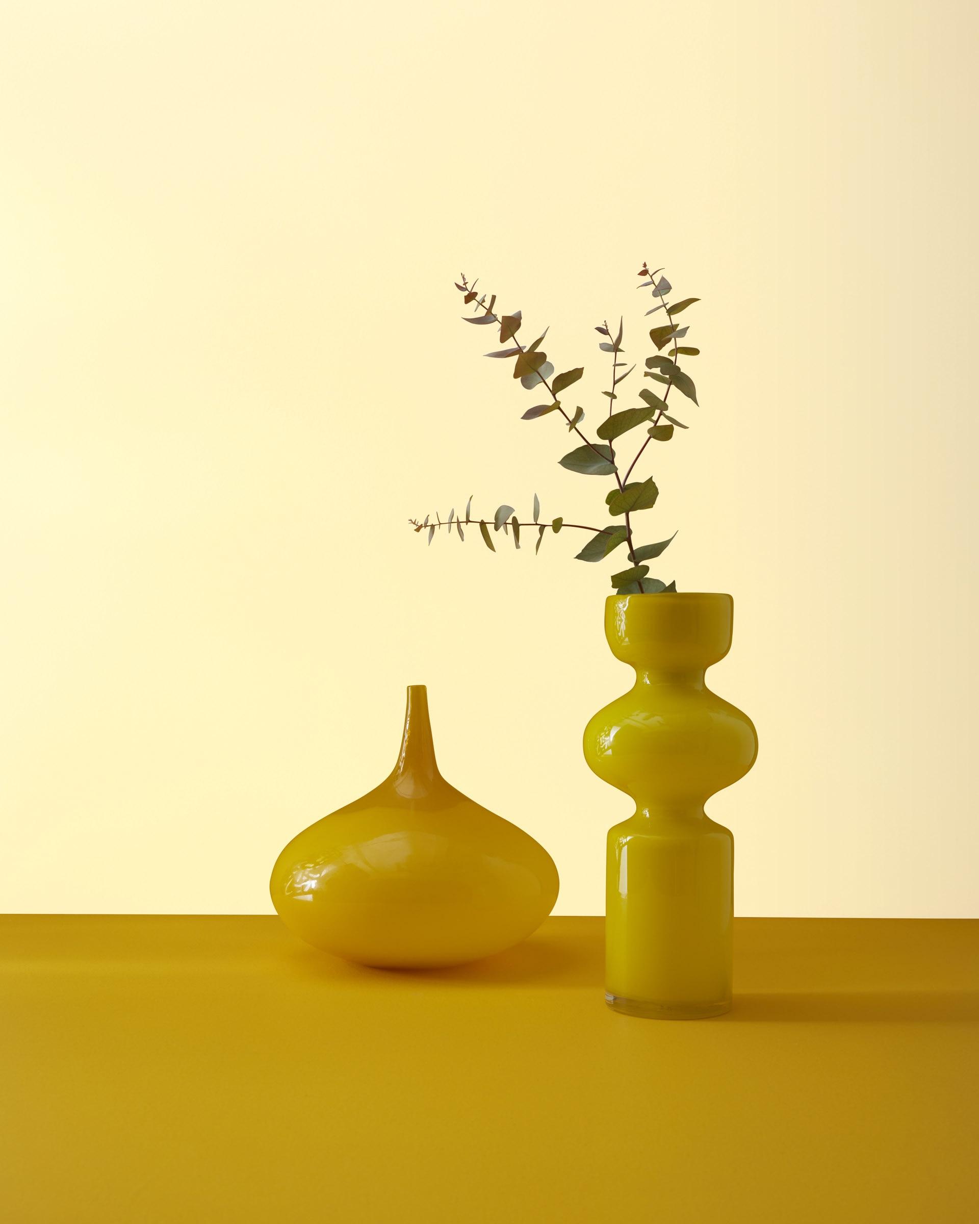 Lemon Sorbet 2019-60 — Ver la foto