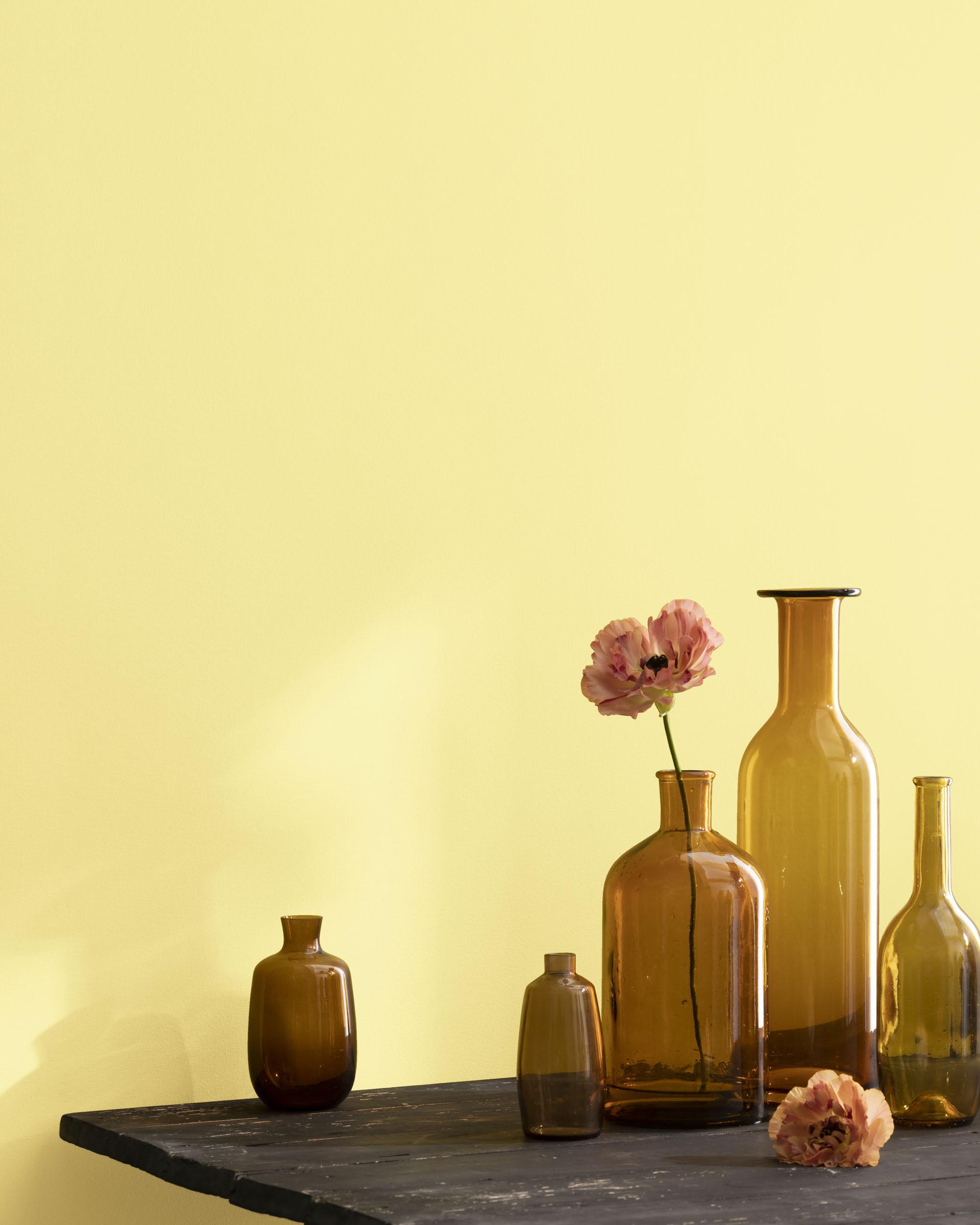 Jasper Yellow 2024-50 — Ver la foto