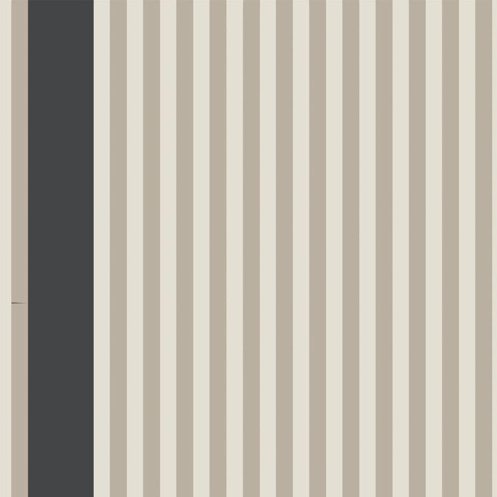 Stripe
