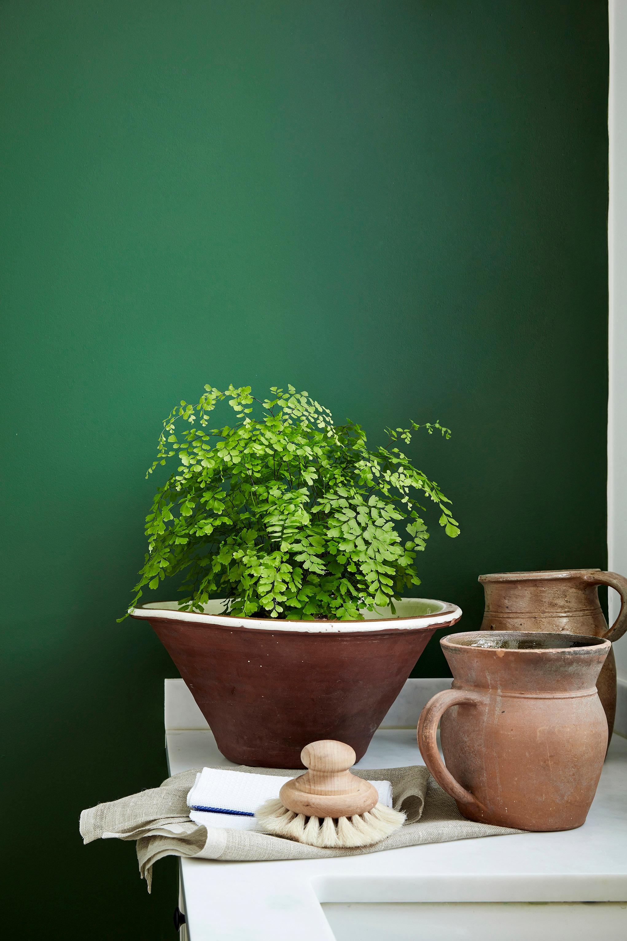 Dark Brunswick Green 88 — Ver la foto