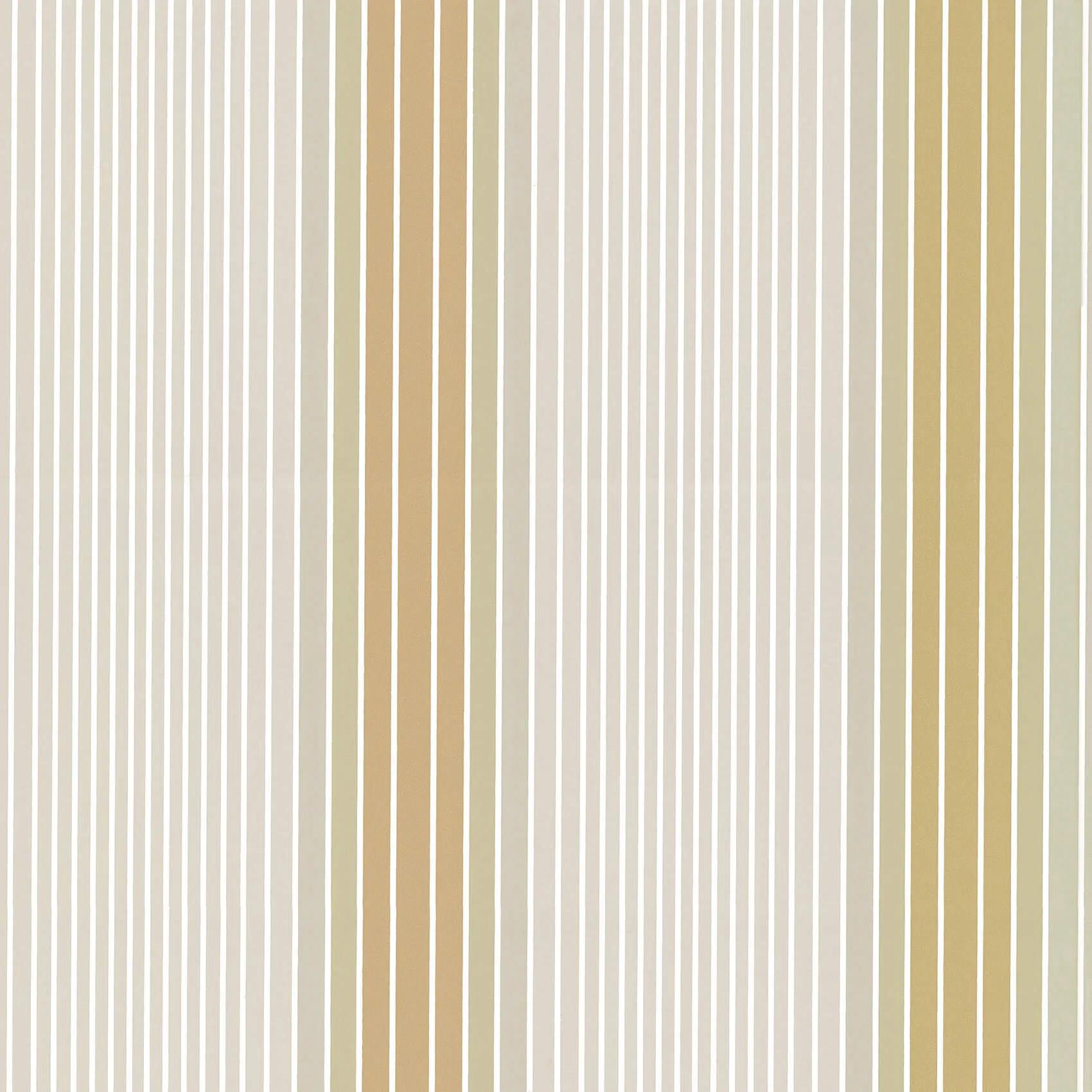 Ombré Stripe