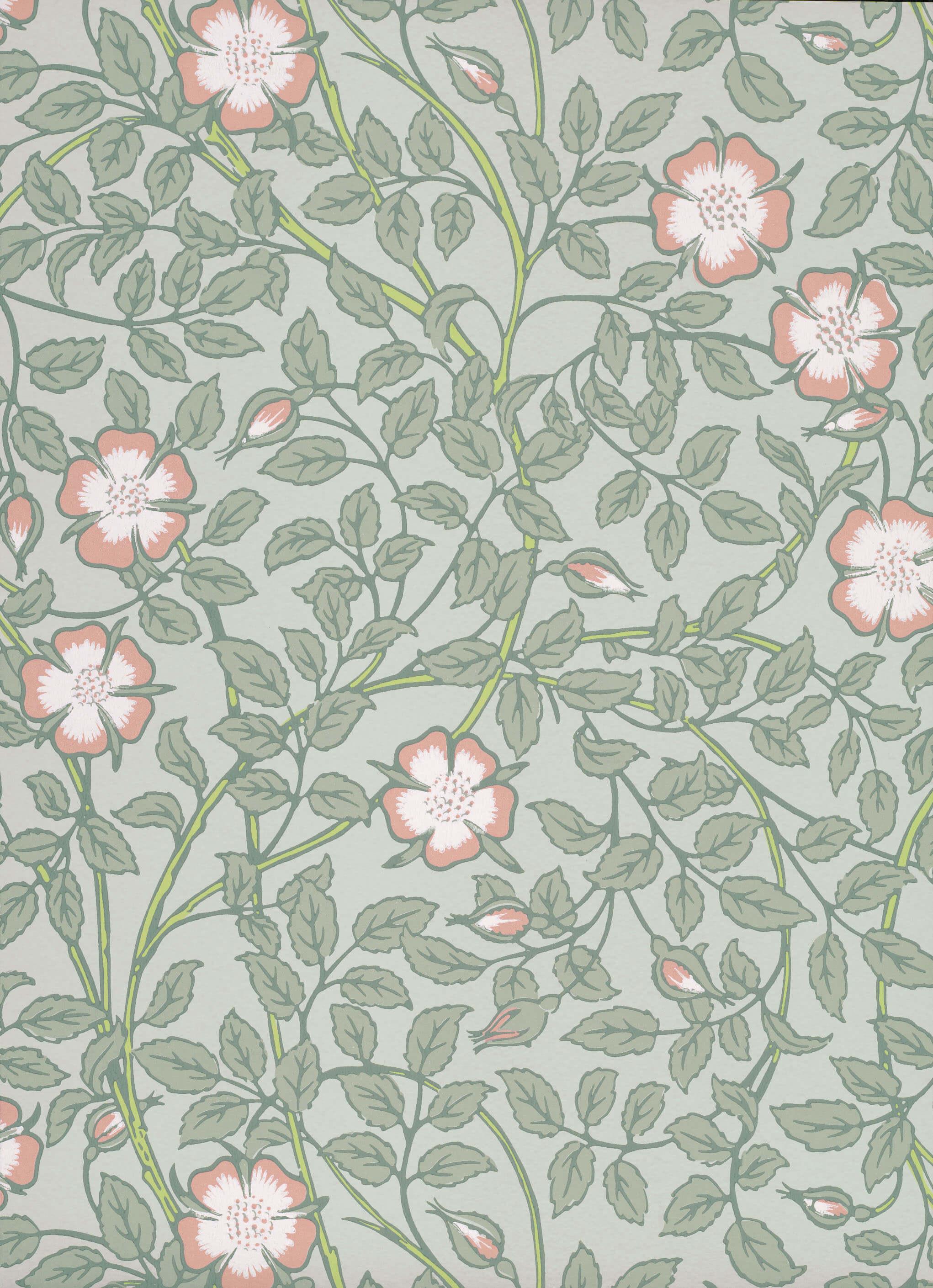 Briar Rose SALIX