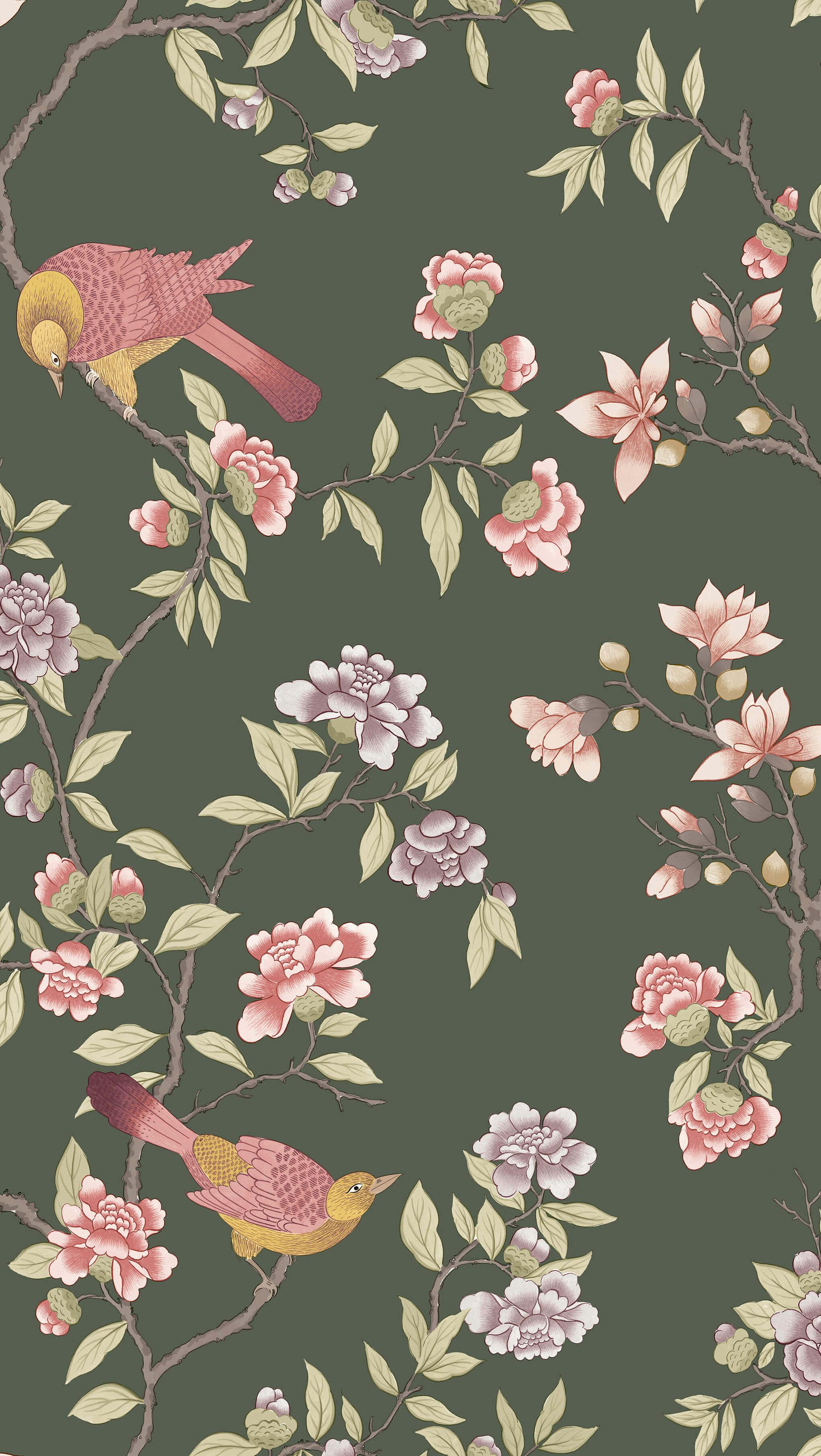 Aderyn Olive Colour