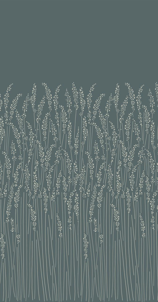 Feather Grass